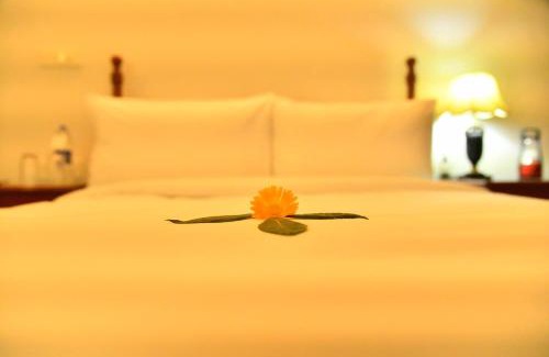Tarikere Bed & Breakfast | Niraamaya Blue Mountain -Chikmagalur