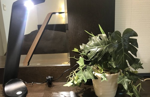 Ryuga Onsen Hotel | Nishitetsu Inn Kochi Harimayabashi