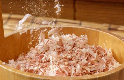 Ryuga Onsen Hotel | Nishitetsu Inn Kochi Harimayabashi