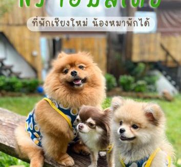 Mae Rim House | Nj homestay