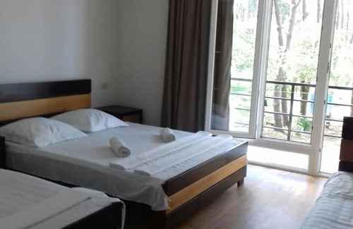 Shekhvetili Hotel | Nmline