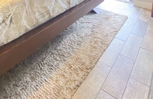 New Port Richey House | NO children under 18 or pets of any kind, including service or comfort animals.