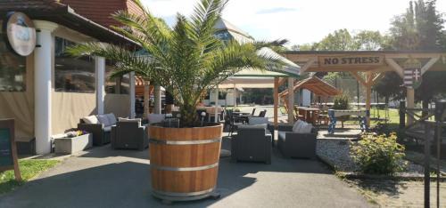 Harkany Bed & Breakfast | No Stress Panzió-Pizzéria-Sporttábor