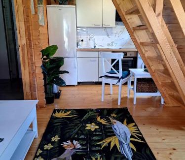Trzcianka Apartment | Noclegi "LAS WYPAS" Trzcianka