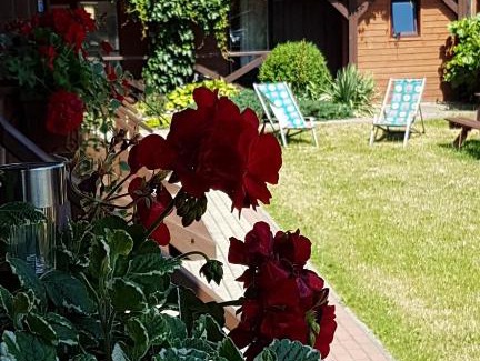 Sztutowo Cabin | Noclegi na Zaciszu