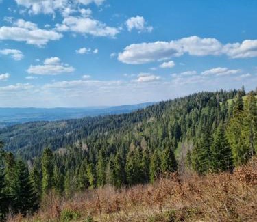 Rabka Apartment | Noclegi w gorcach