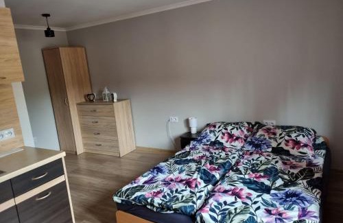 Rabka Apartment | Noclegi w gorcach