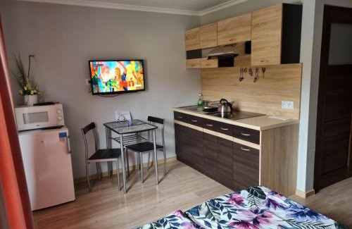 Rabka Apartment | Noclegi w gorcach