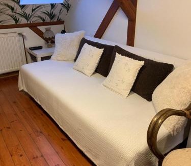 Leszczyniec Apartment | Noclegi Zielona Gęś