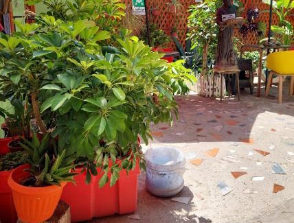 Los Vilos Apartment | Noface 8