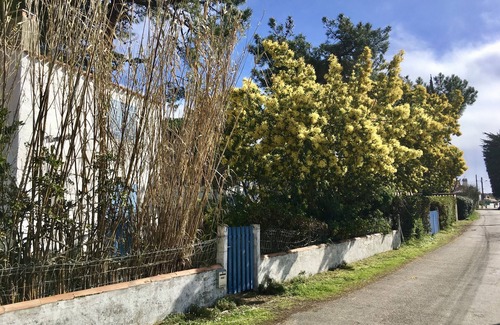 Noirmoutier-en-l'Ile House | Noirmoutier-en-l'île, Le Vieil, 2-bedroom house 50 meters from the beach