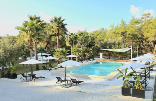 Olympos Hotel | Nomad Lodge Olympos - Adults Only