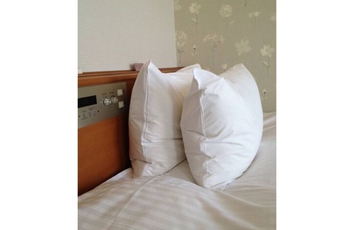 Yoshioka Onsen Hotel | Nonsmoking Main building economy single room/Tottori Tottori