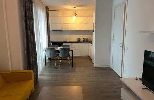 Aviatiei Apartment | Nor Apartament