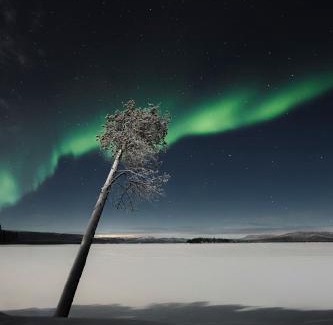 Inari House | Norlight Cottages Ivalo - Aurinko East