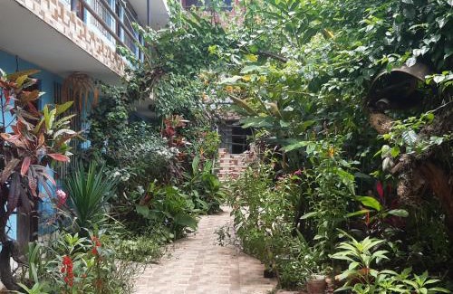 Pichari House | NORMA