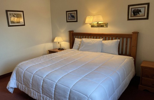 Terrace Hotel | Northern Motor Inn