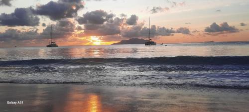 Mare Anglaise Apartment | NORTHWEST BAY Seaview apartment
