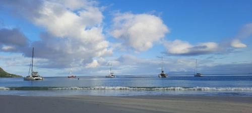 Mare Anglaise Apartment | NORTHWEST BAY Seaview apartment