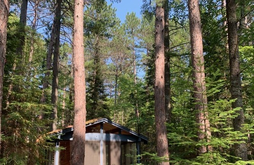 Ely Cabin | Norway Pine Studded Cabin by Bear Head State Park, Trails Galore!