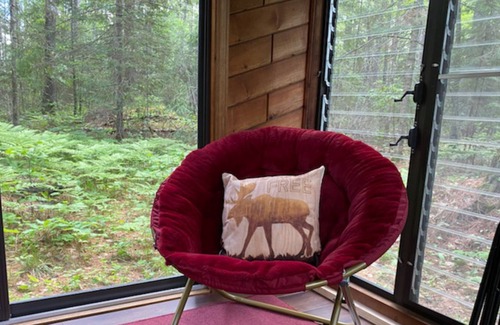 Ely Cabin | Norway Pine Studded Cabin by Bear Head State Park, Trails Galore!