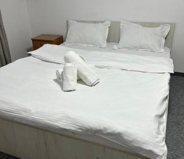 Azuga Apartment | Nova Montan Azuga