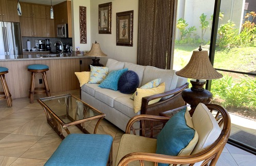Napili Condo | NP B28 March price drop! 1BR gorgeous, private spot, full AC, well stocked