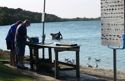 Yamba Resort | NRMA Blue Dolphin Yamba Holiday Resort