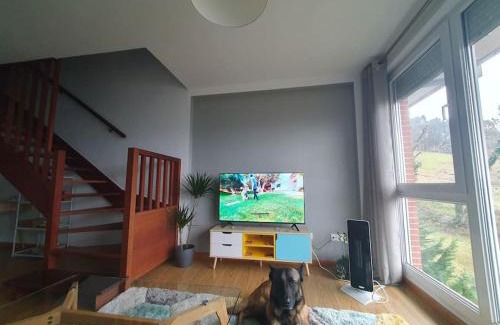 Renedo Apartment | Nuevo apartamento de dos plantas