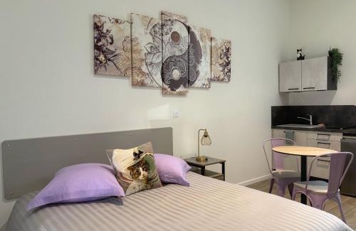 Boyer Apartment | nuitzen
