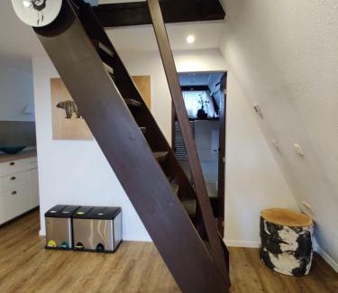 Neuhausen House | Nurdachhaus Marie im Nordschwarzwald