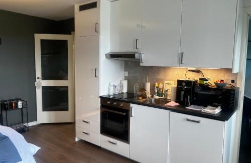 Oslo Apartment | Ny flott leilighet med alt inkludert og gratis parkering