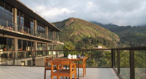 Ramboda Hotel | Oak Ray Tea Bush