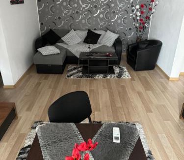 Piatra Neamt Apartment | Oana Guest House