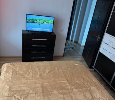 Piatra Neamt Apartment | Oana Guest House