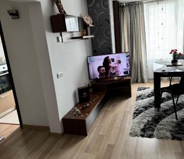 Piatra Neamt Apartment | Oana Guest House