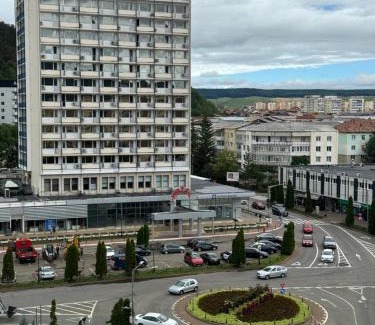 Piatra Neamt Apartment | Oana Guest House