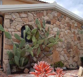 Tiriddo Apartment | Oasi del Fico