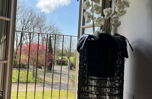 Altopascio Apartment | Oasi di Pace e Tranquillità con Piscina,campo da Tennis,uliveti,vigneti Frutteti