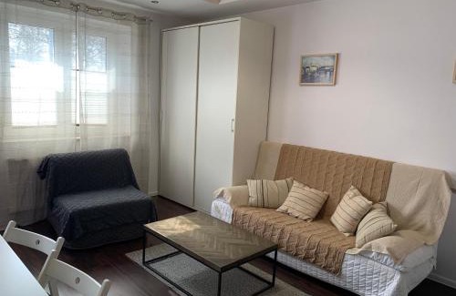 Tarnowskie Gory Apartment | Oasis City Central