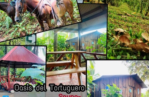 Cariari Ski Chalet | Oasis del Tortuguero
