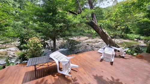 K. Wipawadi House | Oasis forest garden