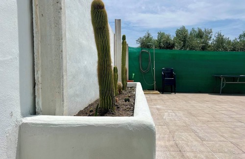 Tabernas Cottage | Oasis Pool in the Desert | BBQ and Garden