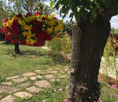 Saint-Julien-les-Rosiers Apartment | Occitemps