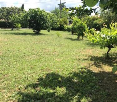 Saint-Julien-les-Rosiers Apartment | Occitemps