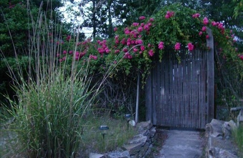 Ocean Bay Park House | Ocean Bay Park Sanctuary - 4th week just opened up with a cancelation!