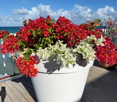St. John's Villa | Ocean Garden Studio II