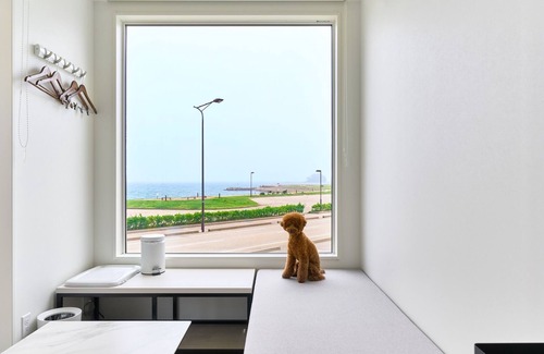 Himi Cabin | Ocean Standard with Dog/Himi Toyama