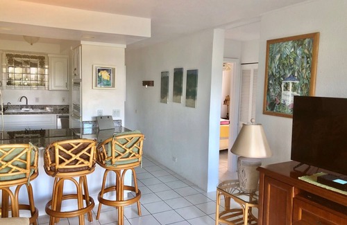 Hilo Condo | OCEAN VIEW 2BRM WITH BEACH PARK NEXT DOOR