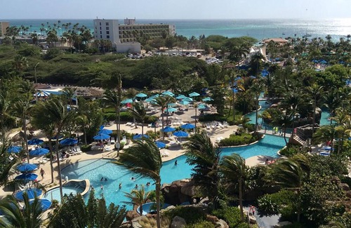 Palm Beach Resort | Ocean View - Studio - Marriott's Aruba Surf Club - Full Resort Access